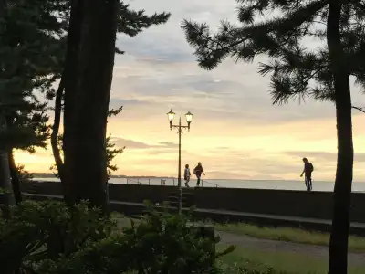Hamachiyokan - 20