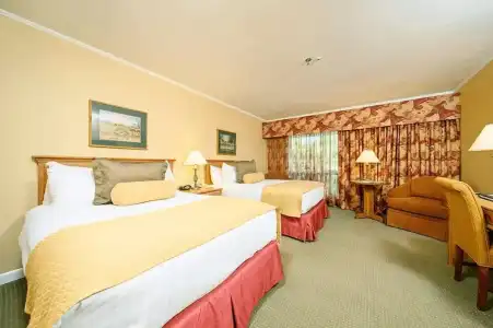 Stoweflake Mountain Resort & Spa - 9
