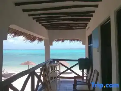 Nest Style Beach Zanzibar - 98