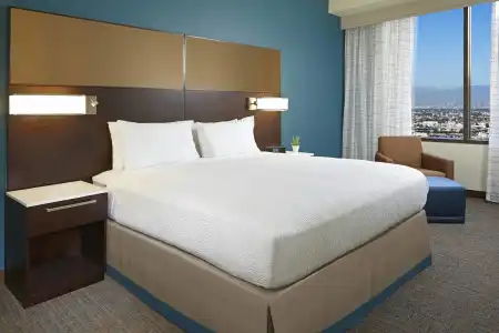 Residence Inn by Marriott Los Angeles LAX/Century Boulevard - 4