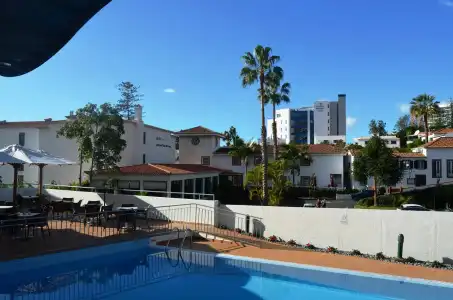 Madeira Bright Star - 11