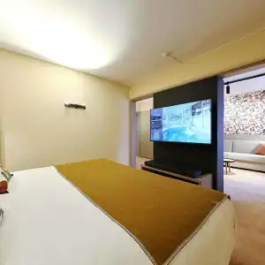Mercure Grenoble Centre Porte des Alpes - 44