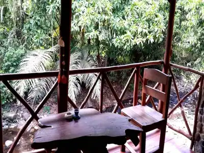Tree Top River Huts - 17