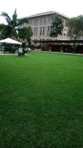 Lush Garden - 20