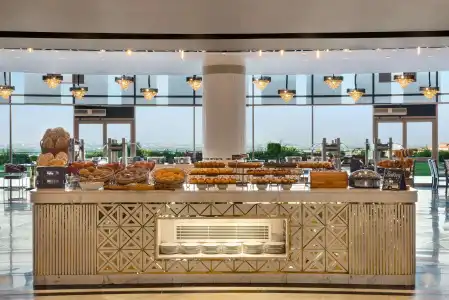Radisson Blu & Convention Center, Alexandria - 6