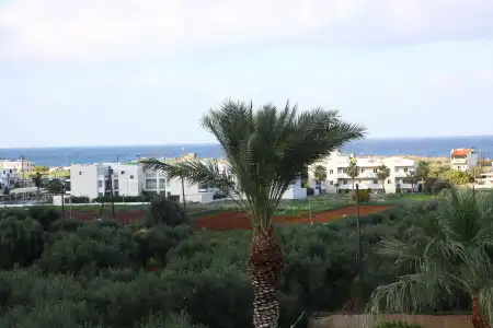 Triton Garden - 23