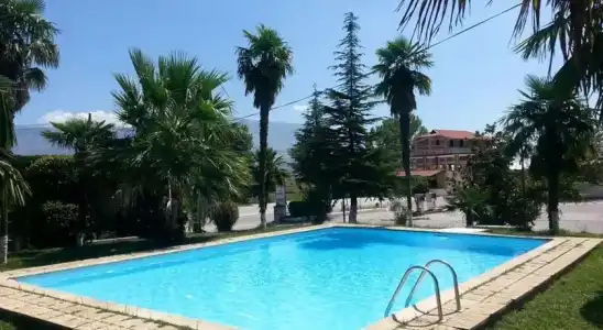 The Palm - 7