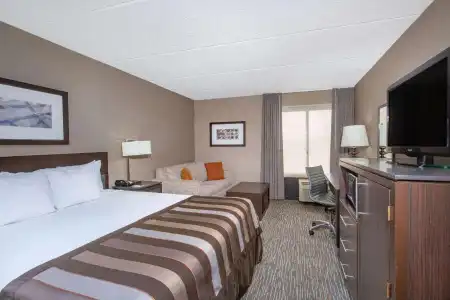 Hampton Inn by Hilton Los Angeles Airport - 68