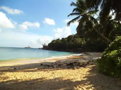 LÌlot Beach Chalets - 8