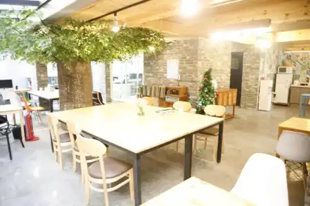 Twin Rabbit Hostel - 29