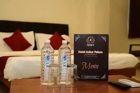 Ankur Palace - 31