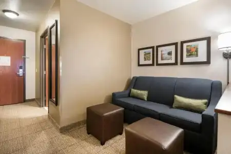 Comfort Suites at Par 4 Resort - 67