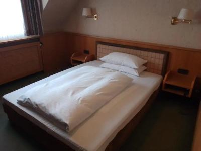 Waldblick BSR Restaurant - 133