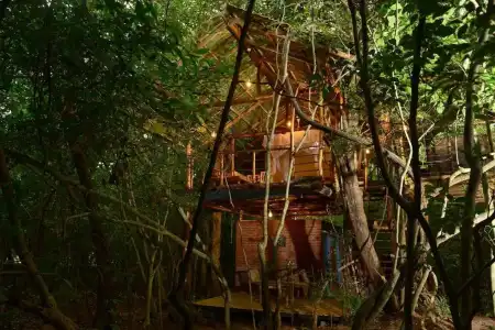 Back of Beyond - Pidurangala - 72