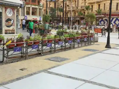 Cairo Paradise - 15