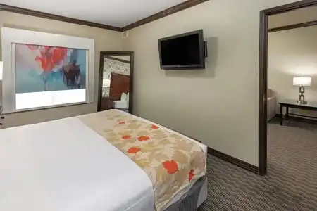 Hawthorn Suites by Wyndham Lubbock - 58