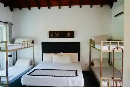 Amaluna Resorts - 4