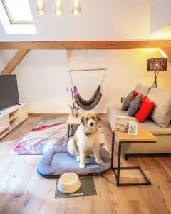 GRUBERS Apartments Gastein - 107