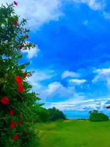 Eco Village Iriomote - 48