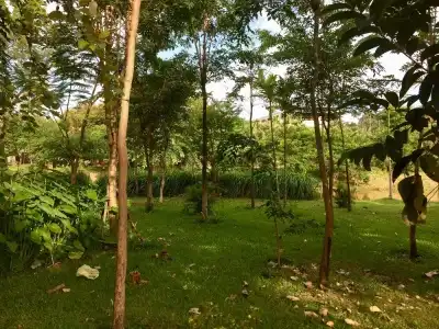 River Retreat Boutique - 21
