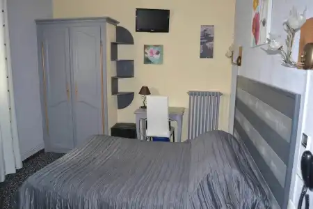 Hôtel Le Dauphin Bleu - 20