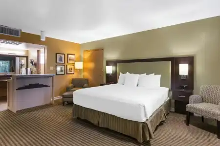 Royal Sun & Suites - 82