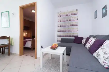 Apartments Vojin - 97