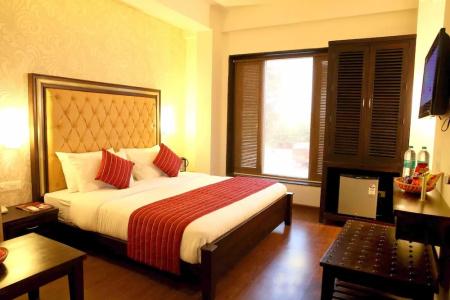 THE RAJ VILAS - 34