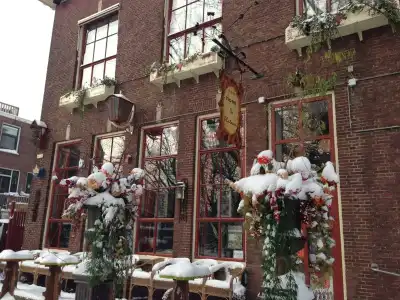 de Plataan Delft Centrum - 0