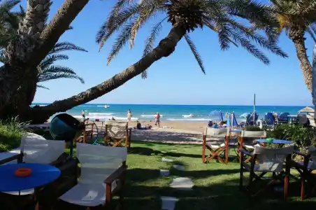 Zeuss Palm Beach - 25
