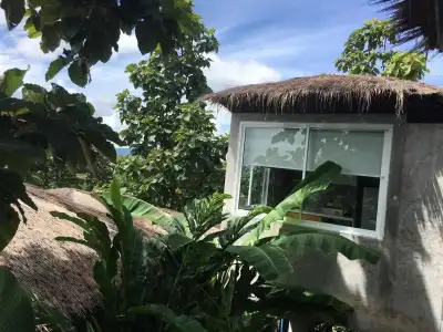 TANYA Baan Bon Doi - 16