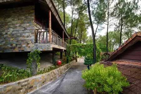 Sankofa Village Hill Resort and Spa - 103