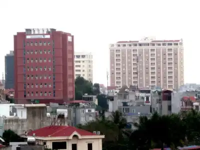 Sen Hai Phong - 9