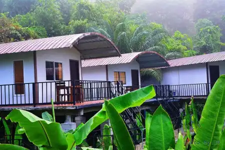 Khaosok River Camp - 55