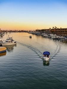 Hyatt Regency Newport Beach West - 36