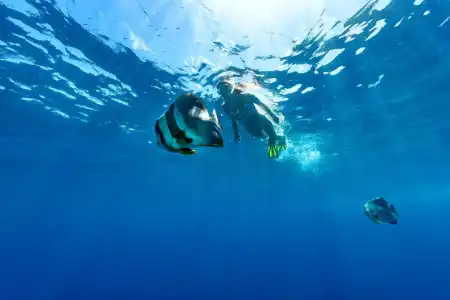 Sheraton Maldives Full Moon Resort & Spa - 46