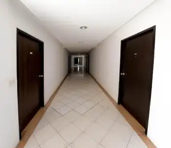 Next Bird Suite - 10
