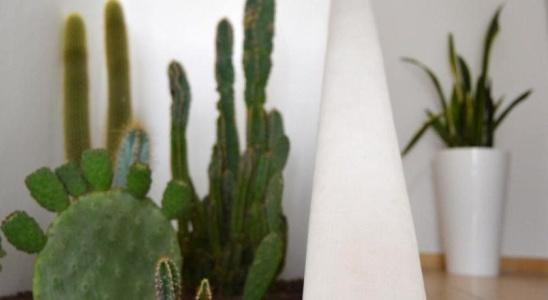 Apulia Bed & Breakfast - 23