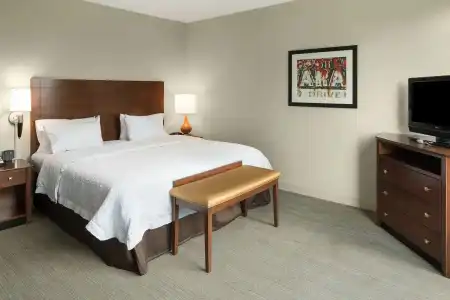 Hampton Inn & Suites Little Rock-Downtown - 36
