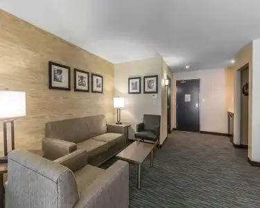 Comfort Inn & Suites Airport North - 6