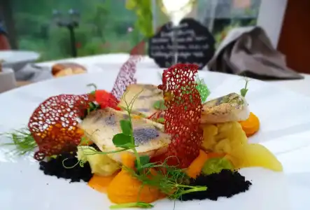 Boutique Villa Melsheimer - 11