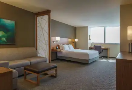 Hyatt Place Houston/Galleria - 1