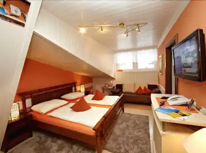 Saalbach Suites by Alps Resorts - 2