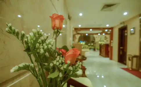 Orange - 15
