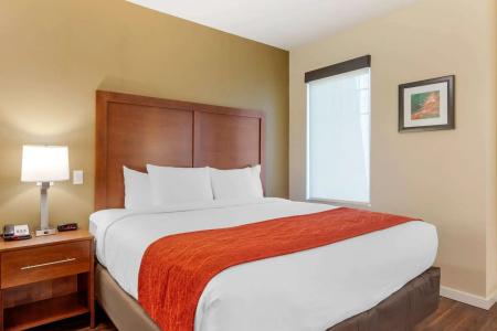 Comfort Inn & Suites near Ontario Airport - 40