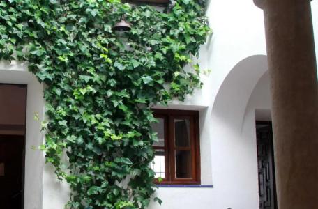 Apartamentos Los Patios de la Judería - 248