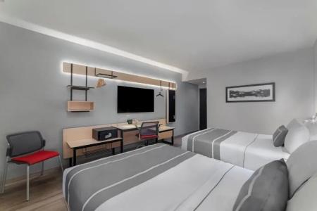 City Express Plus by Marriott Ciudad de México Insurgentes Sur - 31