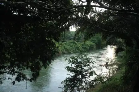 Khaosok River Camp - 54
