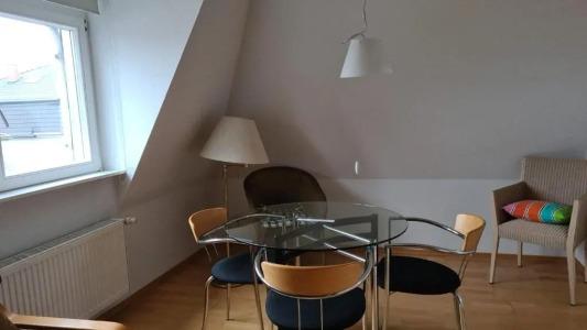 Art-Robert Mayer - 37