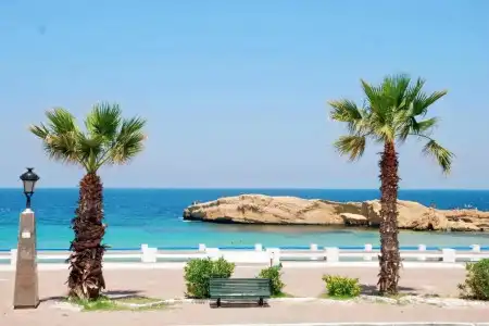 Delphin El Habib - 16